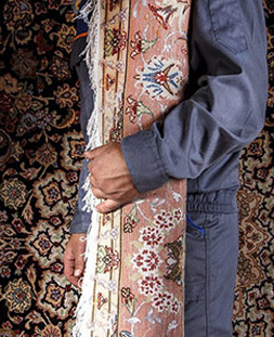 قالی لول در قالیشویی جوادیه 